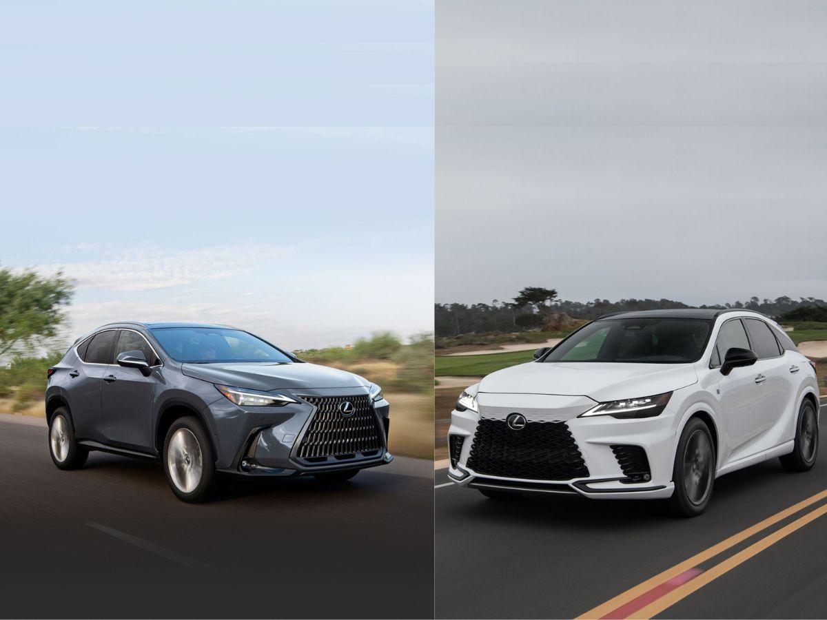 2024 Lexus NX vs. 2024 Lexus RX Comparison - Lexus of Windsor