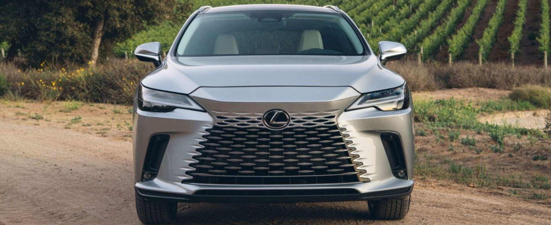 2026 Lexus RX 350h Review